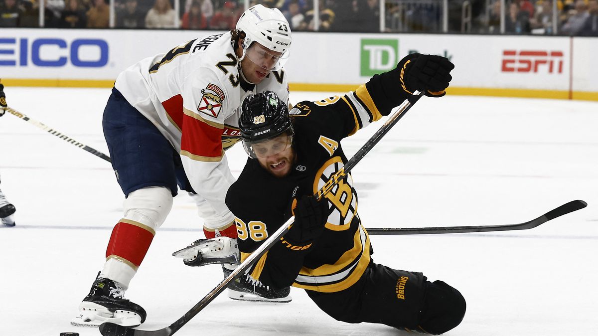 Pastrňák i Zacha dřeli do úmoru, na obhájce to ale nestačilo. Dostál táhl Anaheim za výhrou